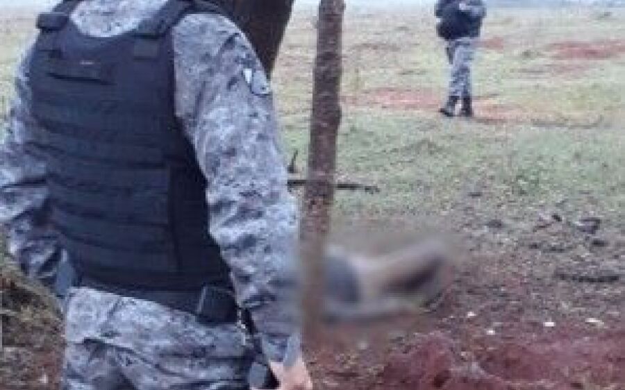 Homem é encontrado morto debaixo de árvore em propriedade rural