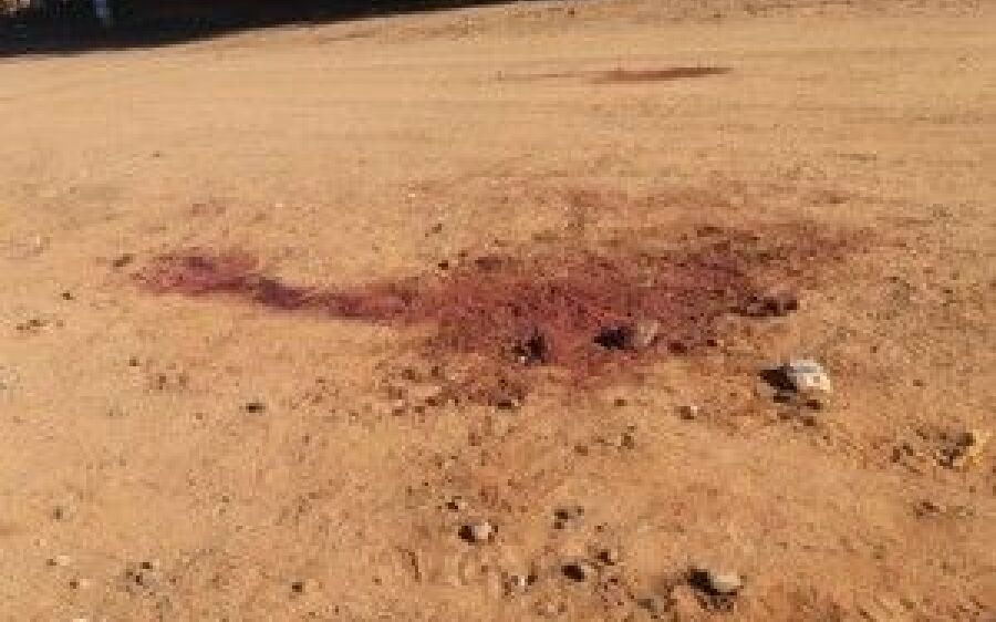 Rapaz é morto com tiro na cabeça e irmão é baleado