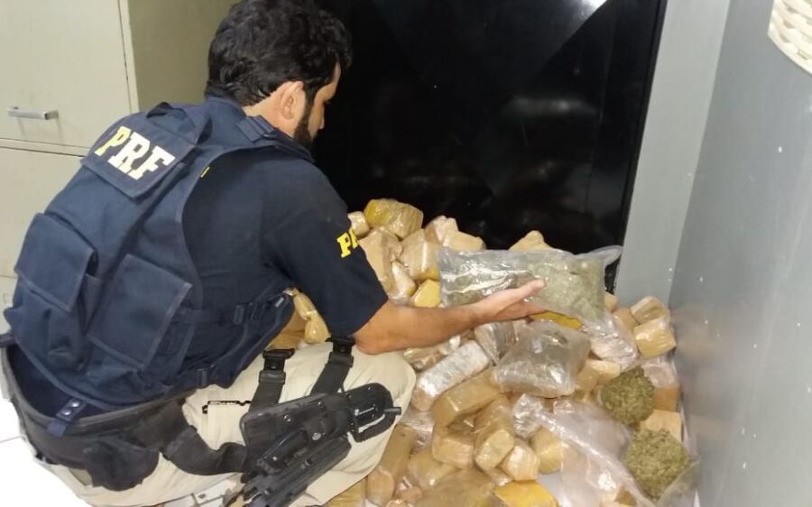 PRF apreende drogas durante vistoria em carros na BR-060