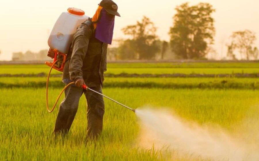 Mal que não se vê: estudo liga uso de agrotóxicos a tentativas de suicídio em MS