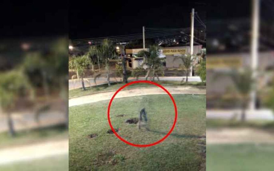 Mulher vai a Praça das Araras e fotografa “vulto misterioso”