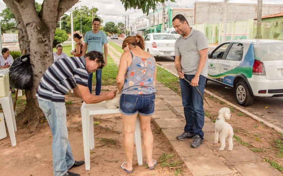 Sábado é dia levar cães e gatos para vacinar contra a raiva