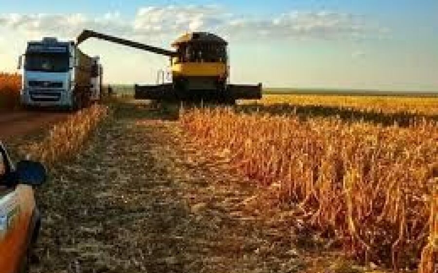 Mato Grosso do Sul deve produzir 14,8% a mais na safra em 2019