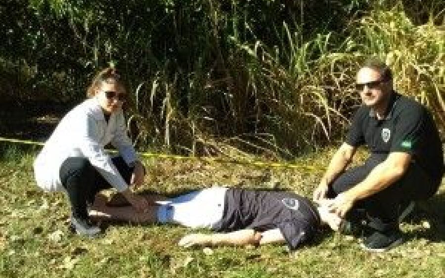 Pesquisa descobre que pólen ajuda a solucionar crimes