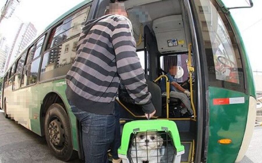 Lei estadual sobre transporte de animais em ônibus rodoviário tem alterações