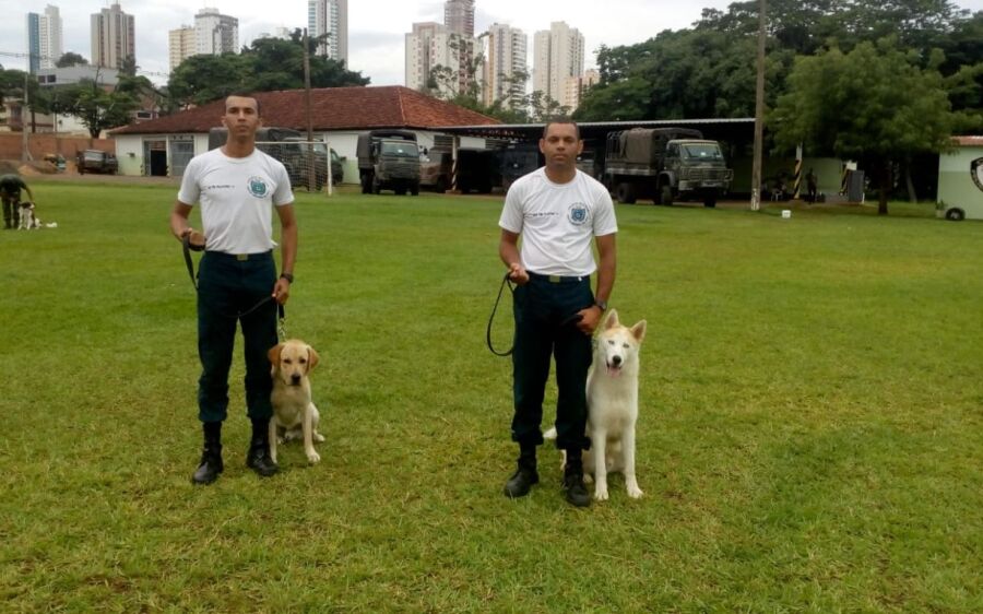 Policiais militares de Coxim e Sonora finalizam estágio de adestradores de Cães de Guerra