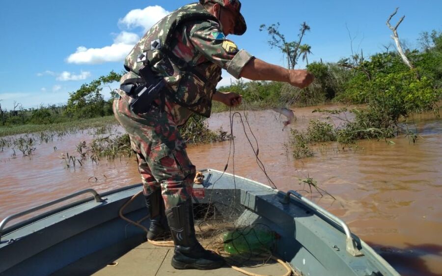 PMA autua três e apreende 97% a menos pescado no primeiro mês de piracema 
