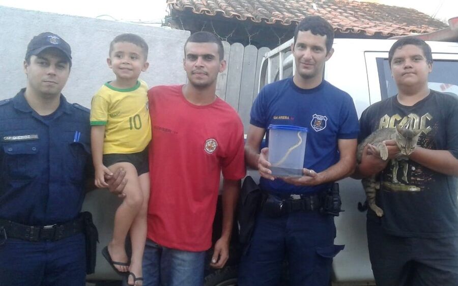 Gata salva menino de 3 anos após cascavel aparecer na cozinha de casa 