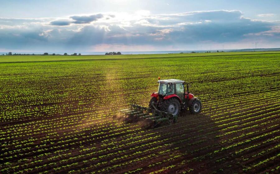MS tem 12 cidades entre os maiores produtores do agronegócio brasileiro