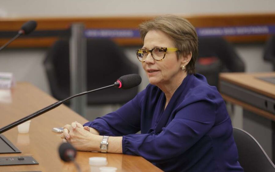 Tereza Cristina vai garantir ônibus escolar para 14 municípios de MS