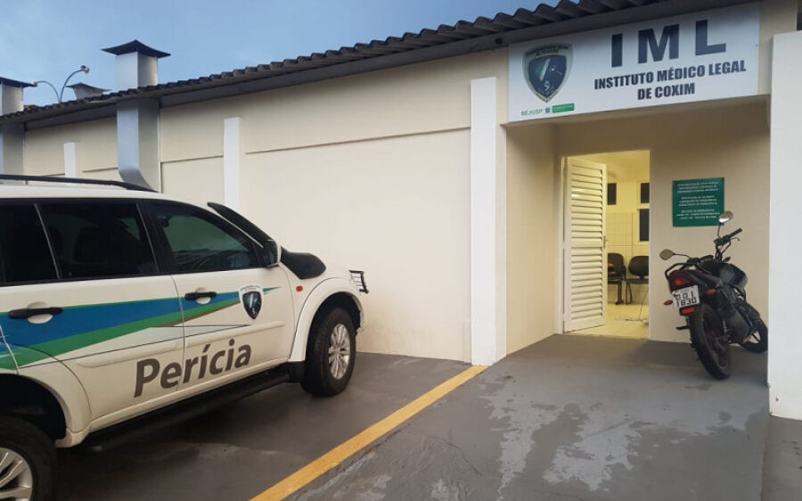 A oito dias do aniversário, idoso morre ao ser atacado por  abelhas em fazenda de Coxim