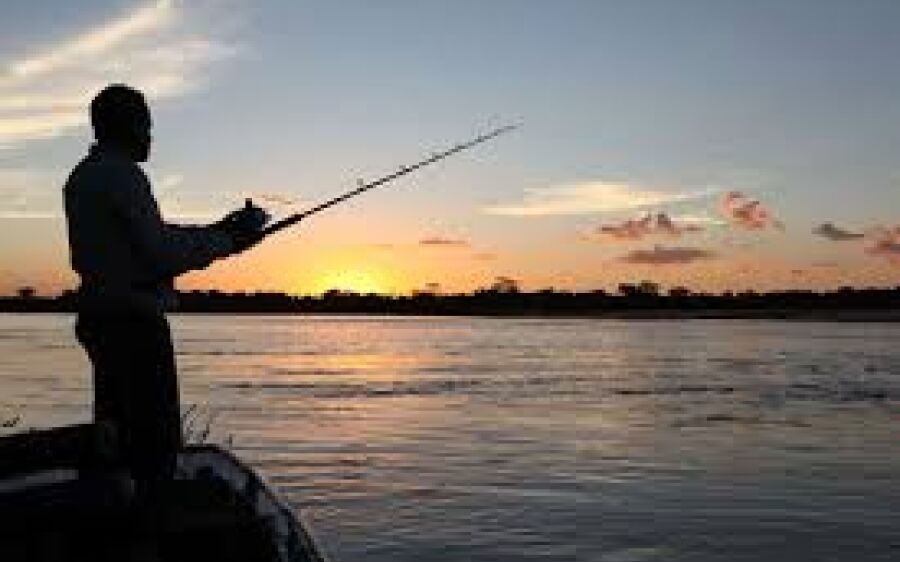 Cota zero deve sair em 15 dias e  governo estuda limite de 5 a 7kg de pescado