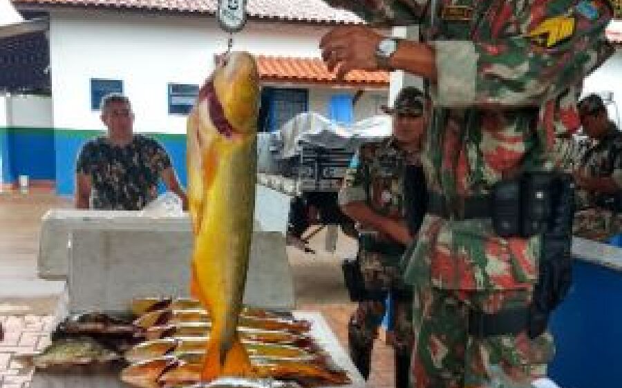 Pesca de dourado pode acarretar prisão e multa de até R$ 100 mil