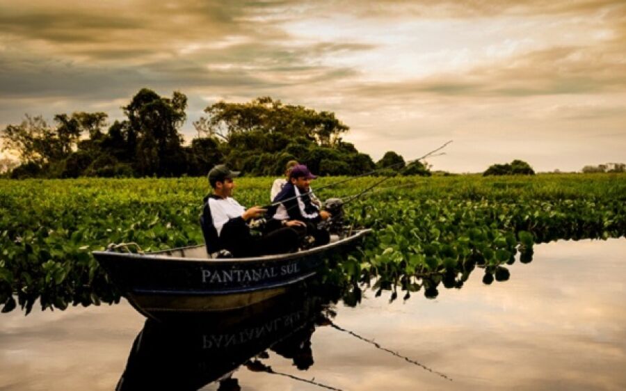 MS no Campo destaca o que muda na pesca com as regras do “Cota Zero”