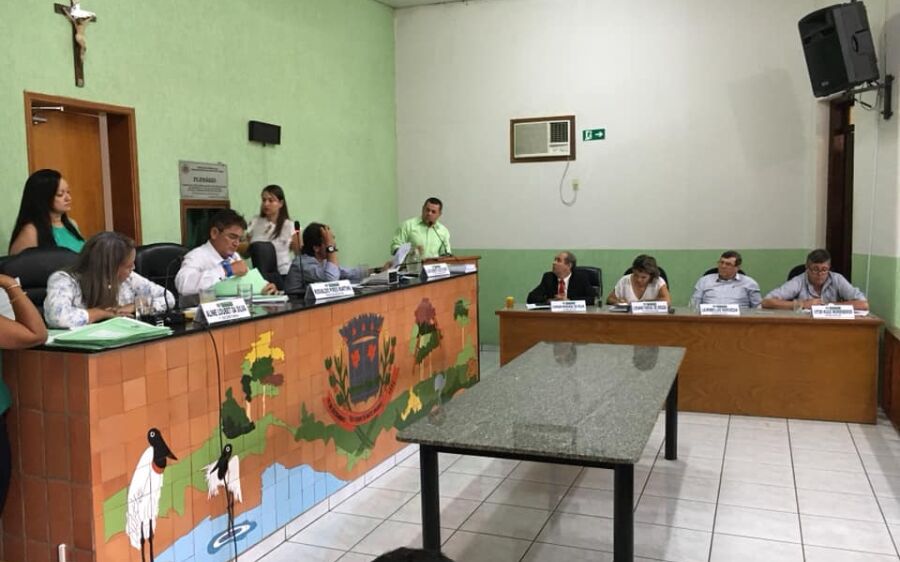 Em homenagem ao mês das  Mulheres, Vereadores entregarão certificado 'Mulher Destaque'.