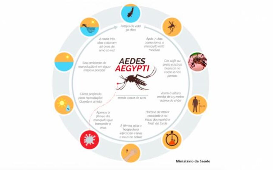Secretaria de Saúde reforça que o combate ao mosquito deve ser diário