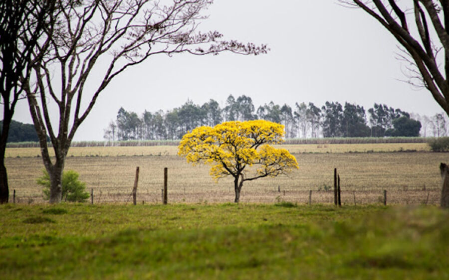 Chuva diminui nesta segunda- feira, mas temperaturas continuam amenas