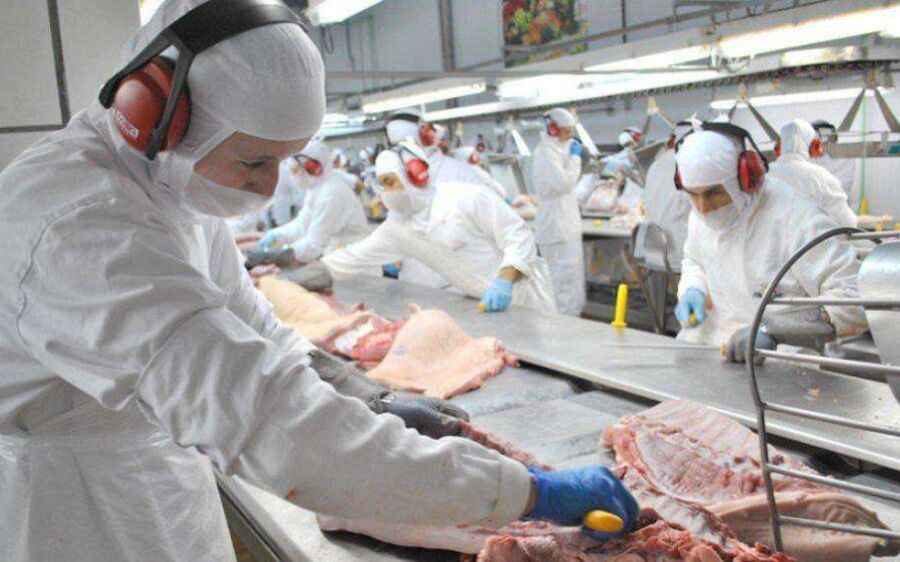 Funtrab abre mais de 40 vagas para trabalhar em frigorífico da capital