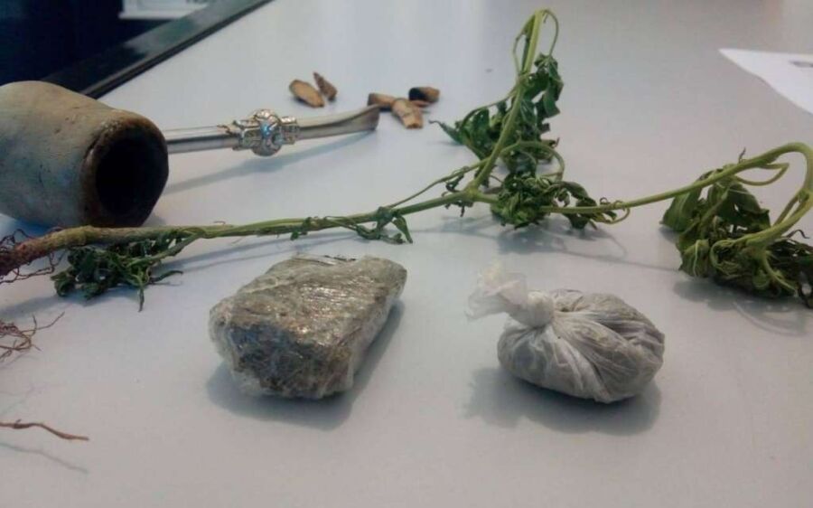Polícia Militar apreende  paradinhas e pé-de-maconha 