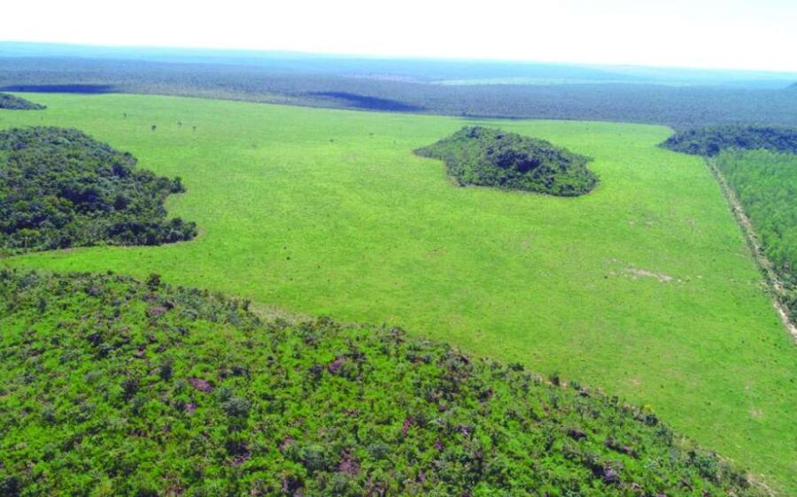 PMA de Coxim autua infrator em R$ 371 mil por desmatamento de 365 hectares de vegetação nativa