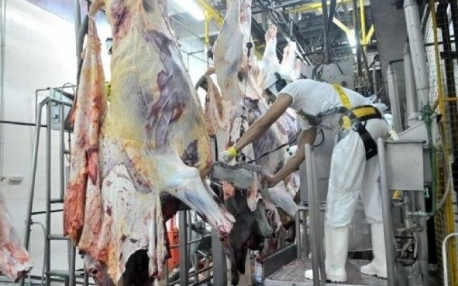 MS se mantém como o 2º maior produtor de carne fresca do país