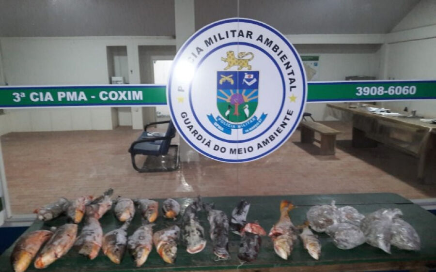Homem é preso por agressão e autuado por armazenamento ilegal de pescado em Coxim