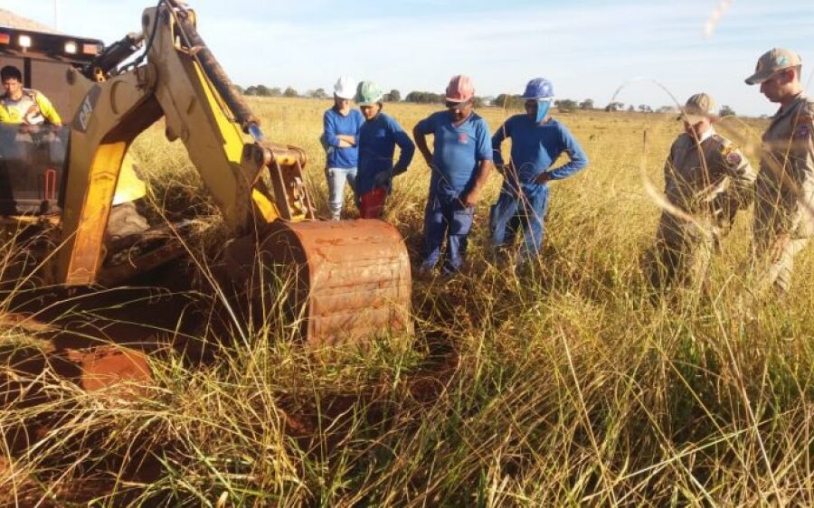 Cadela posa ‘agradecida’ para foto após ser tirada de buraco com 12 filhotes em MS
