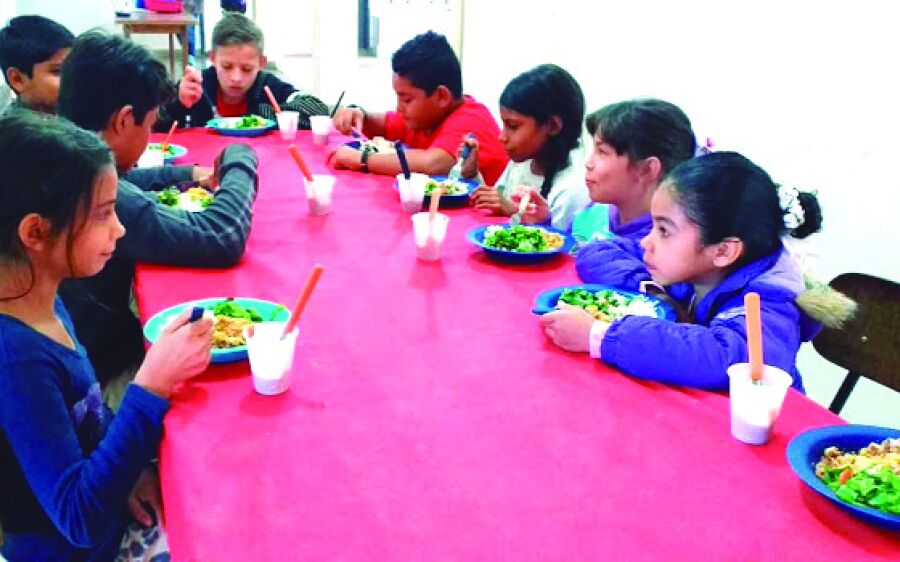 Cozinha Industrial de Rio Verde por uma alimentação saudável