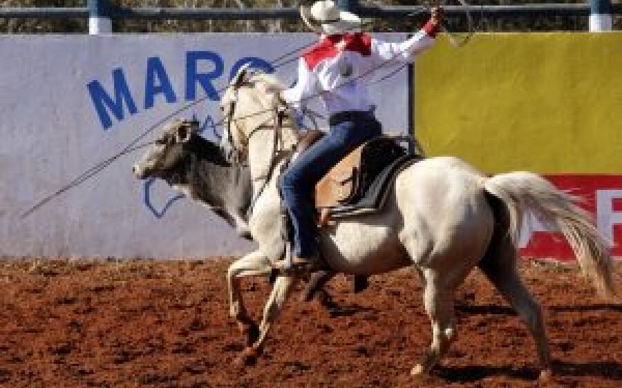 Governo amplia linha de crédito para agricultores de MS