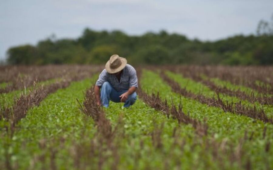 Declaração do Imposto Rural começa nesta segunda-feira