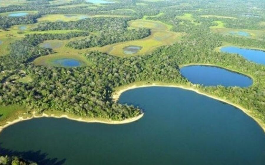 Parceria de MS e Reino Unido estudará os efeitos dos agrotóxicos no Pantanal