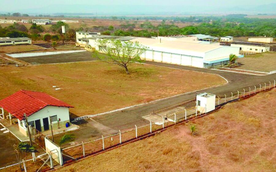 Em Rio Verde, frigorífico anuncia  operação que vai gerar até 460 empregos