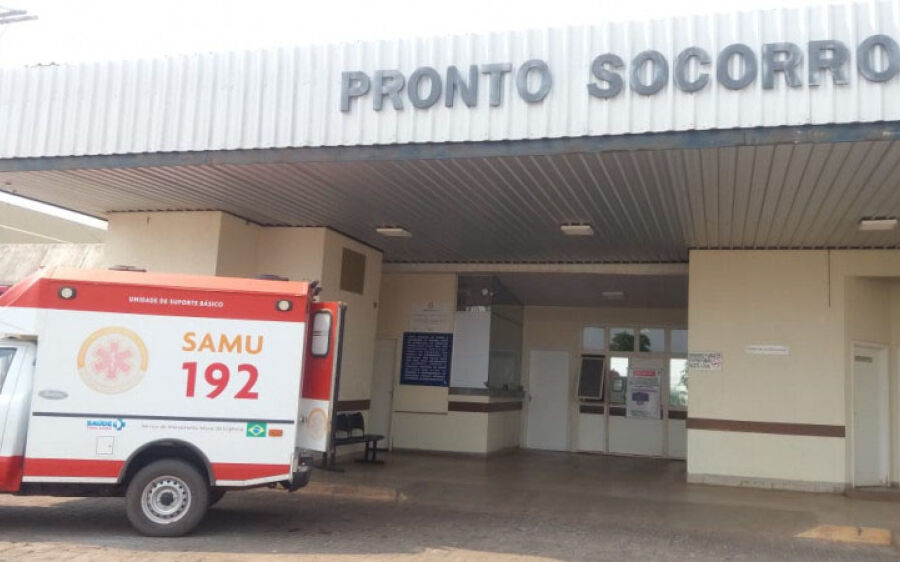 Mulher morre ao levar uma picada de abelha na região pantaneira