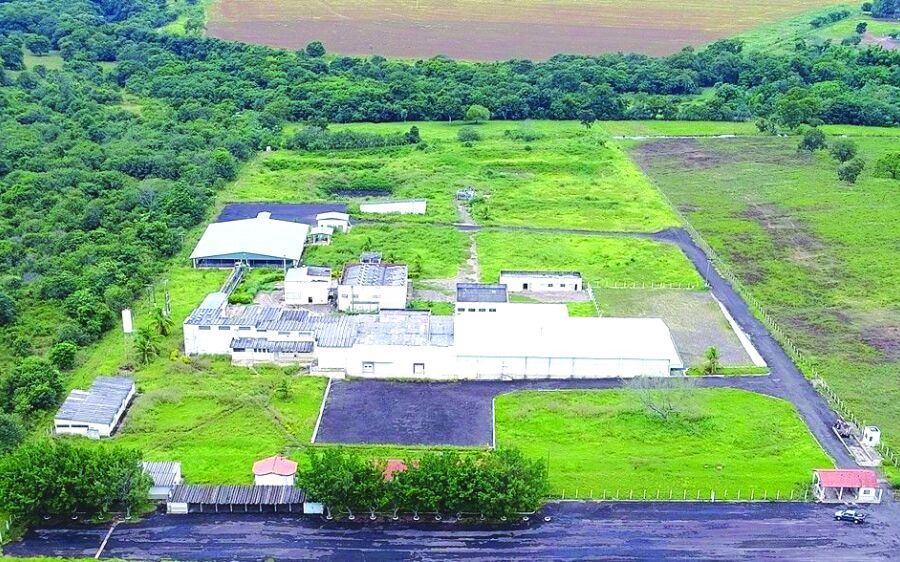 População e classe política comemora retomada das atividades do frigorífico em Rio Verde 