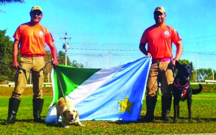 Cães de Busca e Resgate do Corpo de Bombeiros de Coxim embarcam para atuar em Brumadinho