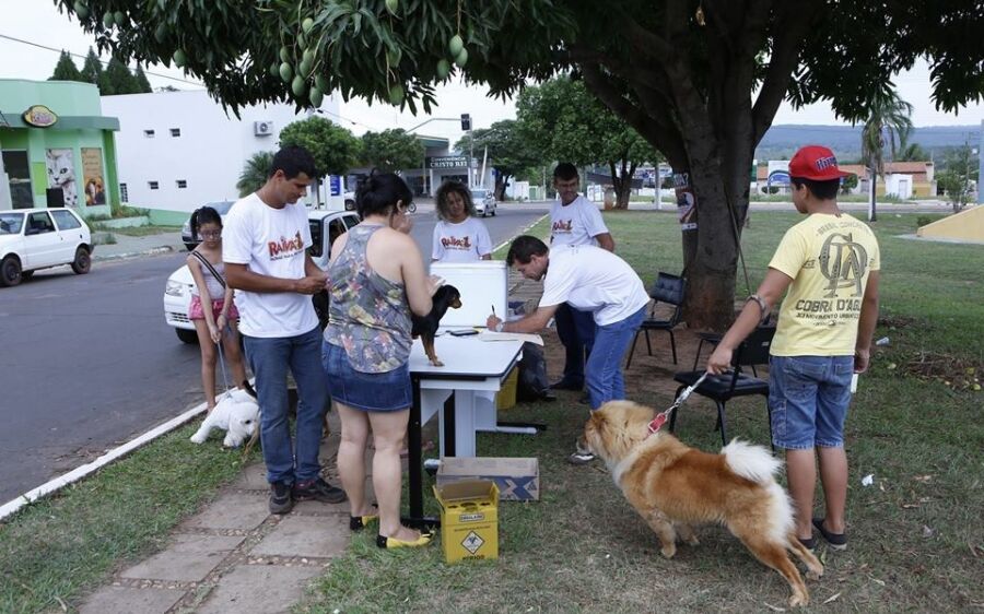 Mais de 7 mil cães e gatos devem ser vacinados sábado em Coxim