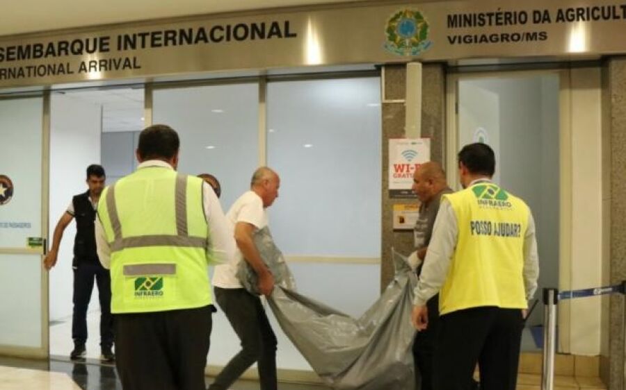Servidor do Ministério da Agricultura é encontrado morto no Aeroporto da Capital