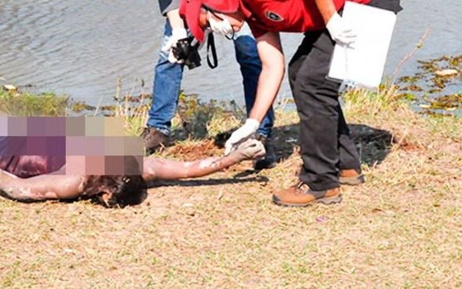 Banhistas encontram corpo de mulher em chácara