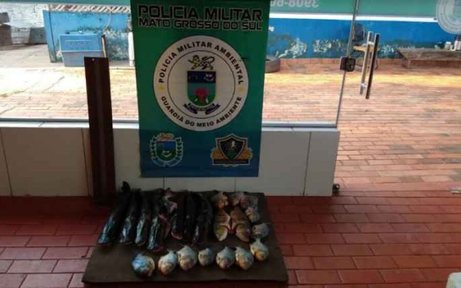PMA autua em R$ 3,8 mil empresários catarinenses por pesca ilegal no Pantanal