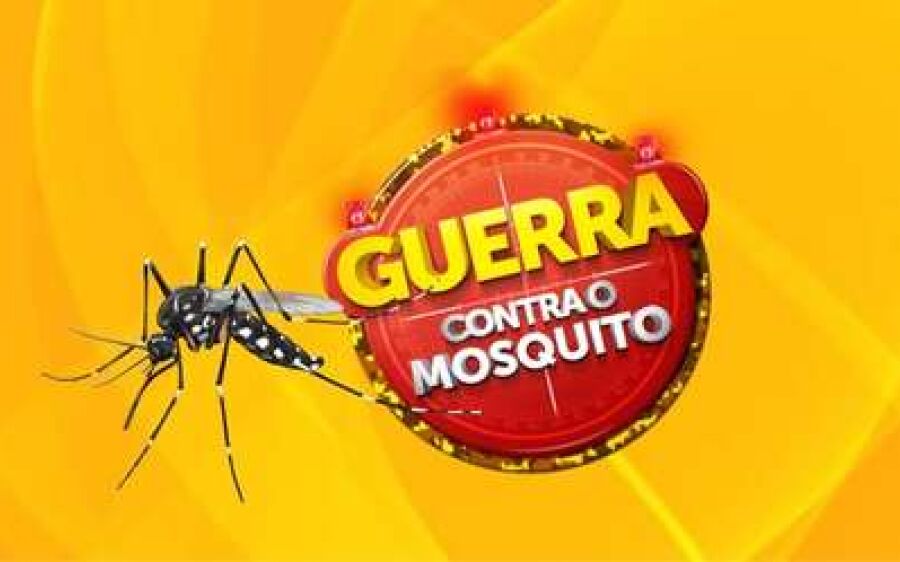 MS lança campanha de enfrentamento de  doenças transmitidas pelo Aedes aegypti