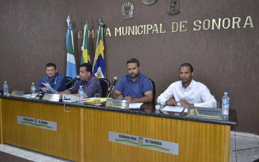 Câmara de Sonora: Vereadores solicitam arborização e revitalização da extensão da Marcelo Miranda