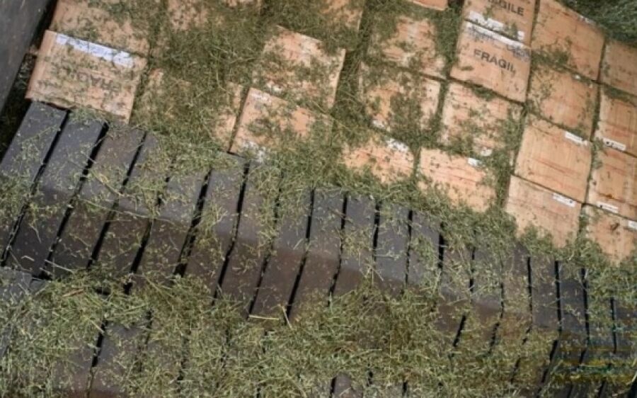 PRF encontra R$ 120 mil em peças de caminhão sob carga de feno na BR-163