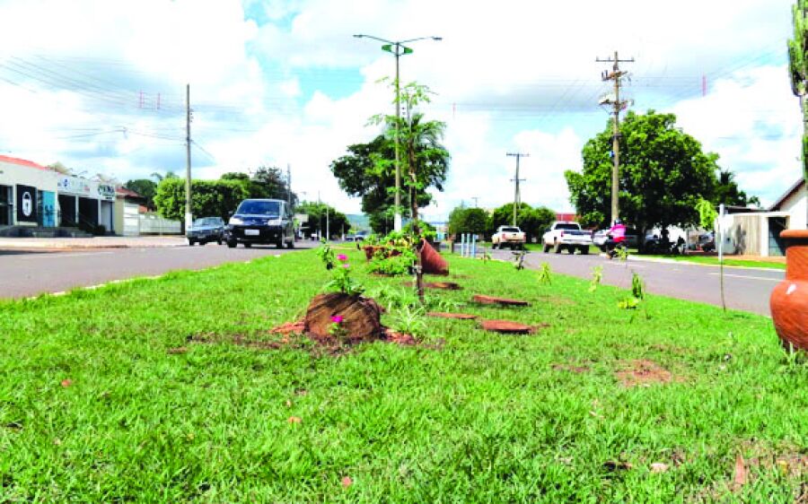 Rio Verde: Projeto 