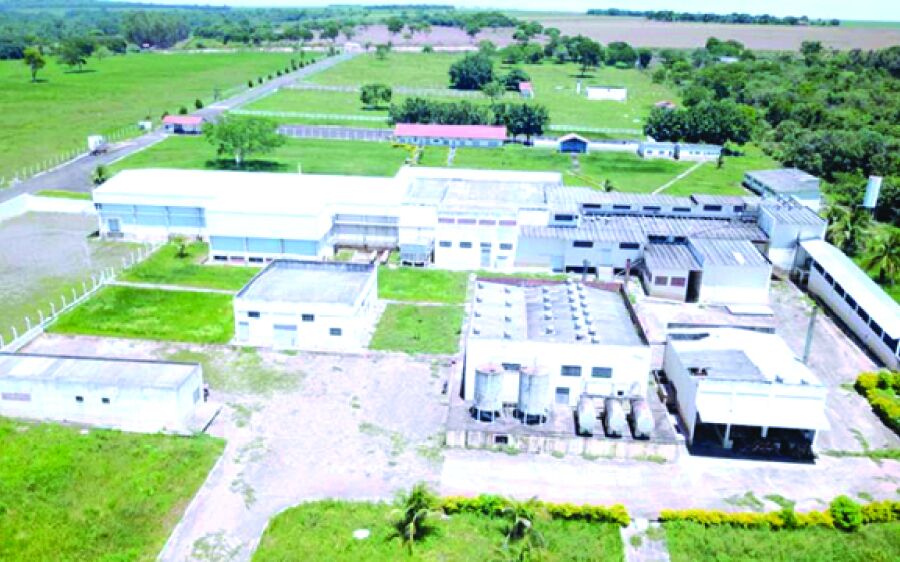 Prefeitura doa área e Câmara aprova projeto para instalação de frigorífico 