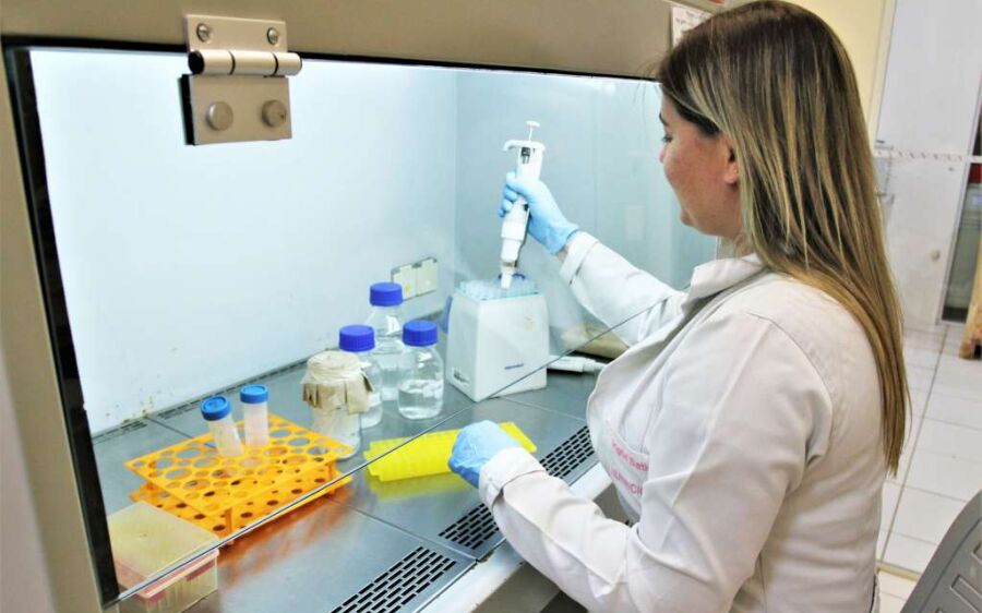 MS tem 322 oportunidades de emprego na última segunda-feira do ano