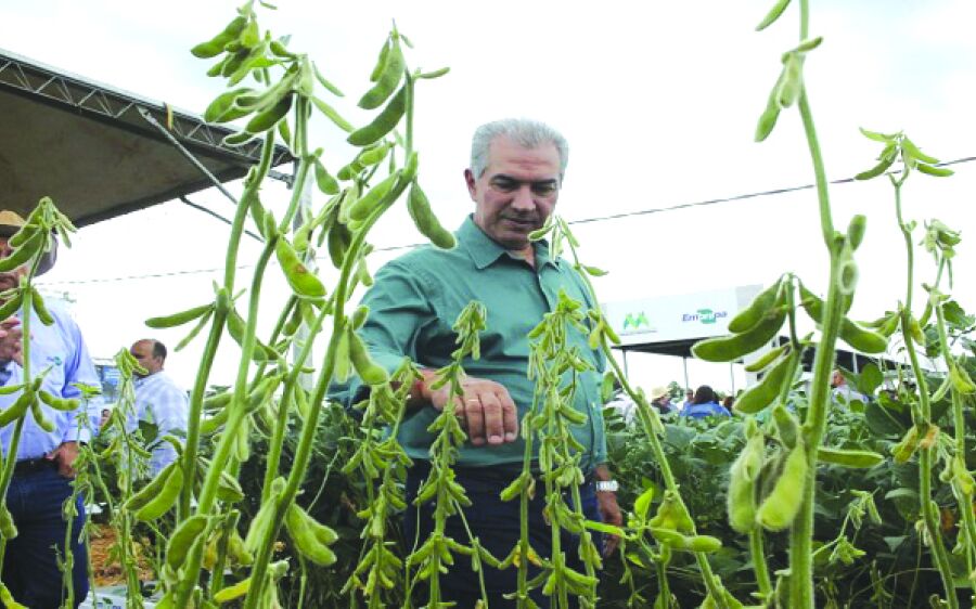 Investimento em pesquisa potencializa agronegócio e safra de soja deve superar 10 milhões de ton