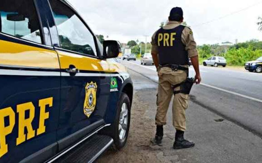 Vaca solta em rodovia é abatida com tiros de submetralhadora após bater em vários carros em MS