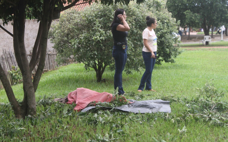 Homem morre após sofrer mal súbito enquanto podava árvore em Rio Verde 