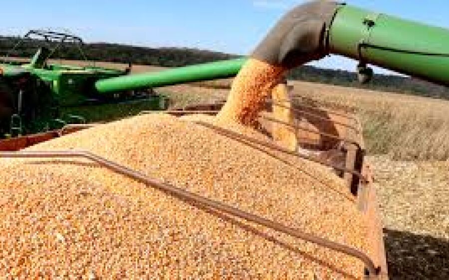 MS deve ter o 3º maior  crescimento do país em 2020