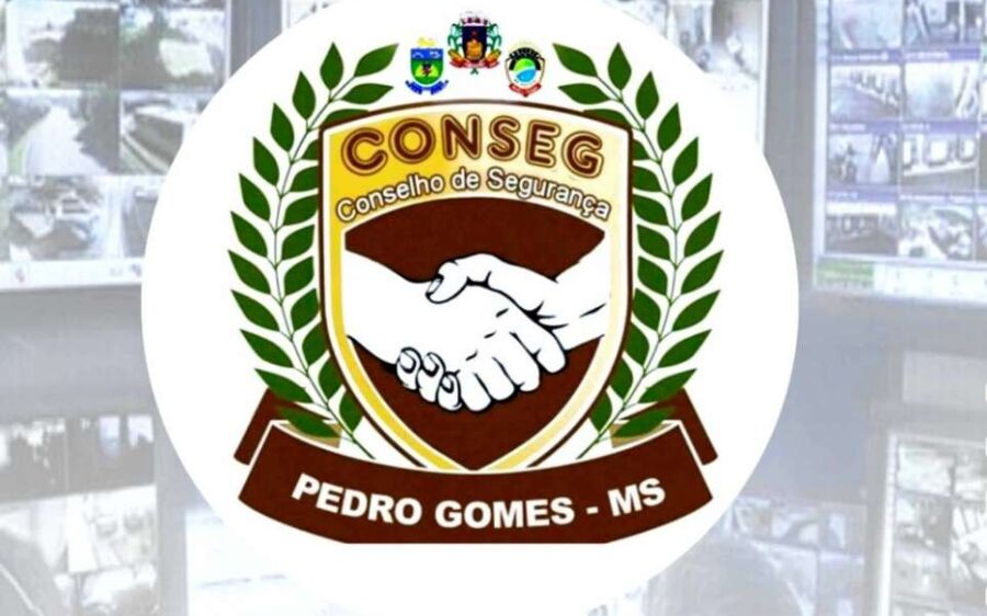 Conselho de Segurança de Segurança de Pedro Gomes realiza prestação de contas